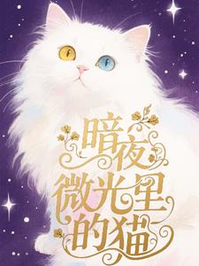 暗夜微光小说免费阅读严知渊